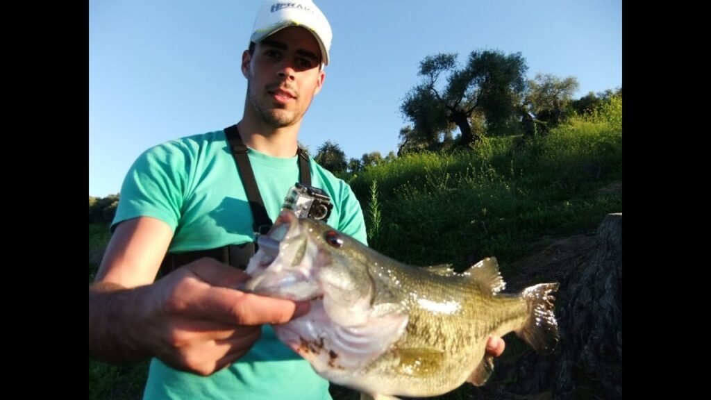 Pesca del Black Bass en pre-freza | HD