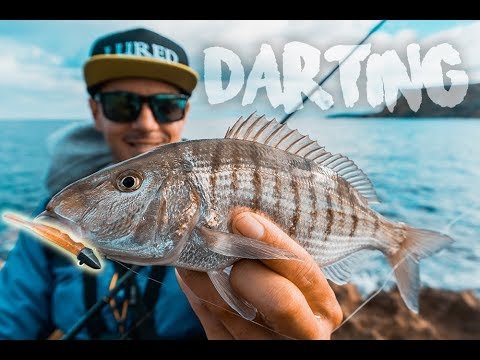 Pescando ESPÁRIDOS a Rockfishing / Darting | Lured Vlog 76