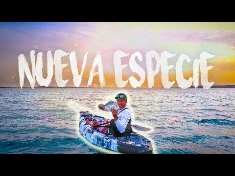 PESCO desde KAYAK una NUEVA ESPECIE [Pesca en Mauritania] | Capítulo