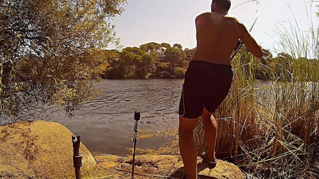 Picada en directo, Las Jaras | Carpfishing