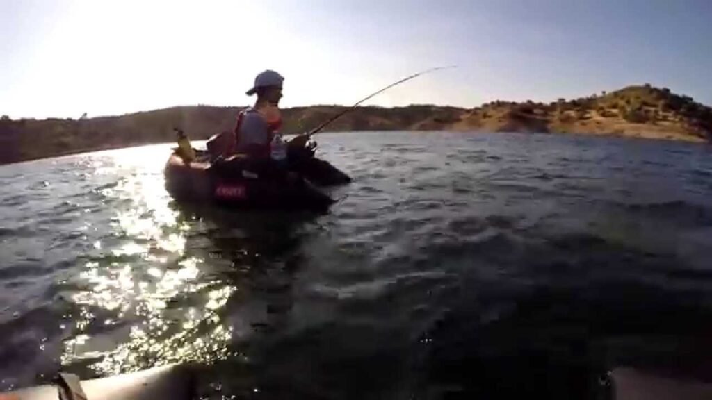 Picada en directo / Live fishing