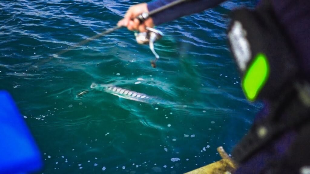 ¡¡PICAN en los PIES!! CUANTO pesca en Menorca alguien de FUERA [ANJOVA Time!!] | Lured Vlog 185