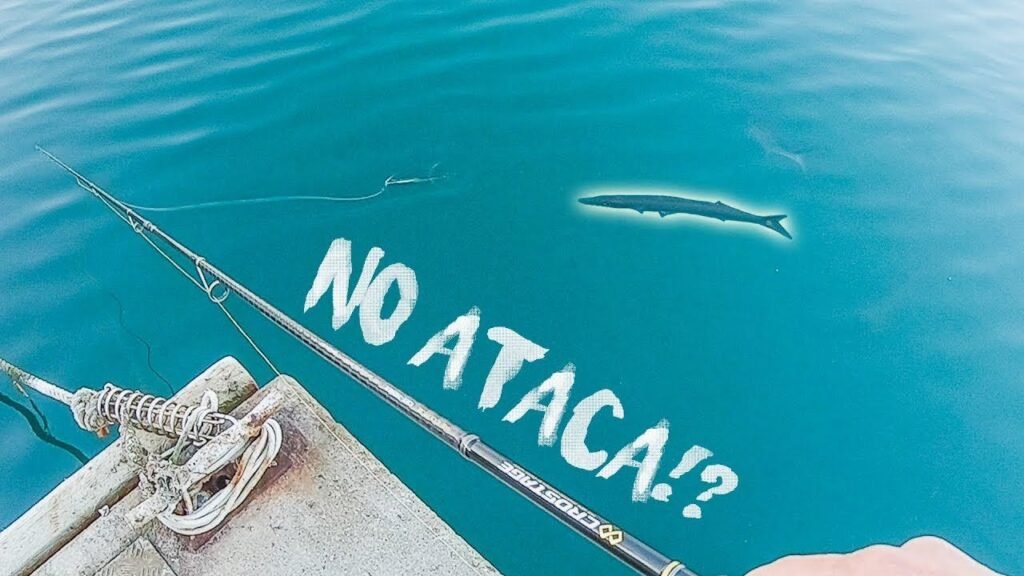 ¿POR QUÉ NO ME PICAN?