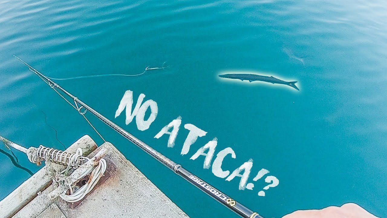 ¿POR QUÉ NO ME PICAN?