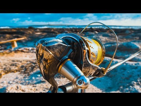 Preguntas sobre CARRETES de PESCA | Lured Q&A