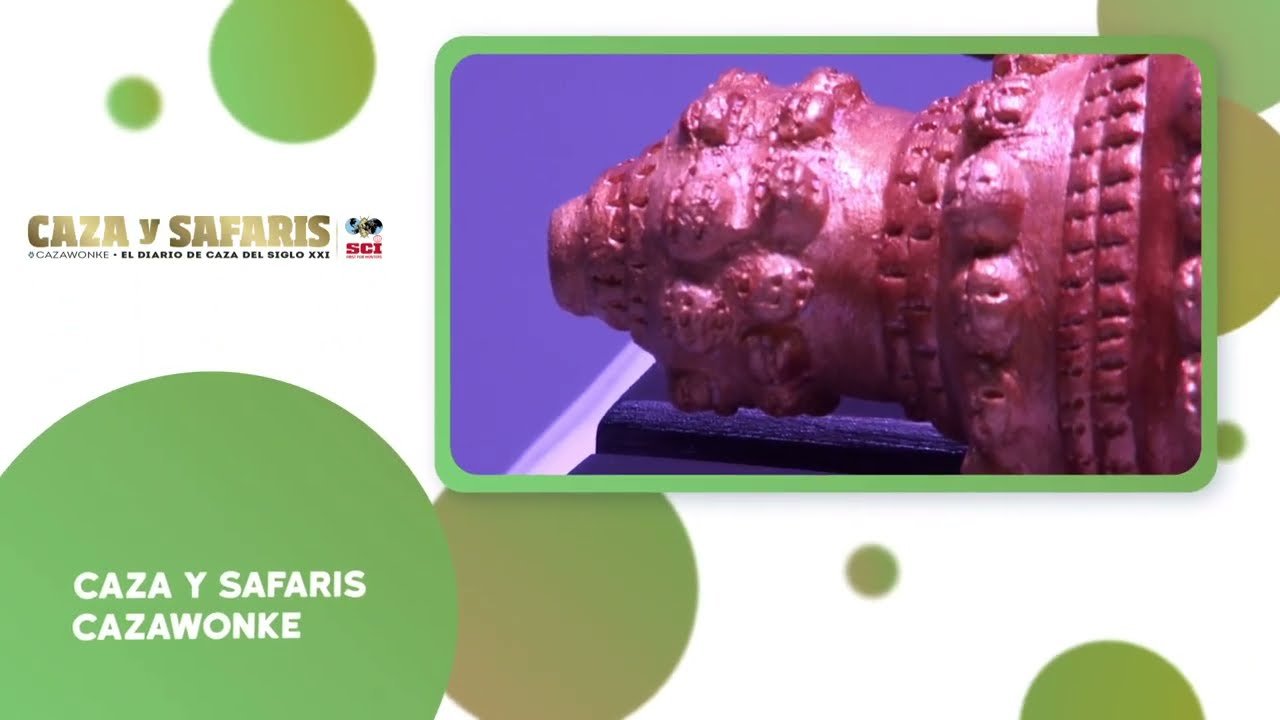 PREMIOS CARACOLAS Y CAZADOR DEL AÑO DE CAZA Y SAFARIS EN CINEGETICA 2021