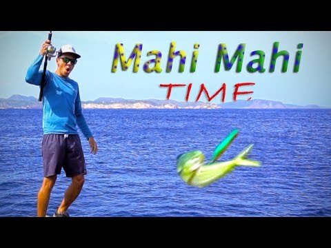 ¡¡Primera LLAMPUGA desde costa de la temporada!!