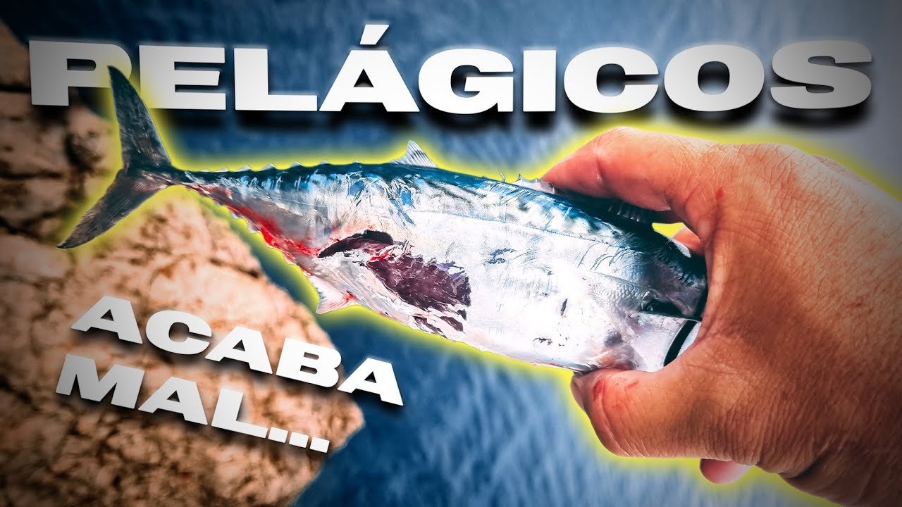 Primeros ℙ Á ℂ  en SUPERFICIE - acaba MAL [         ] | Lured Vlog 328