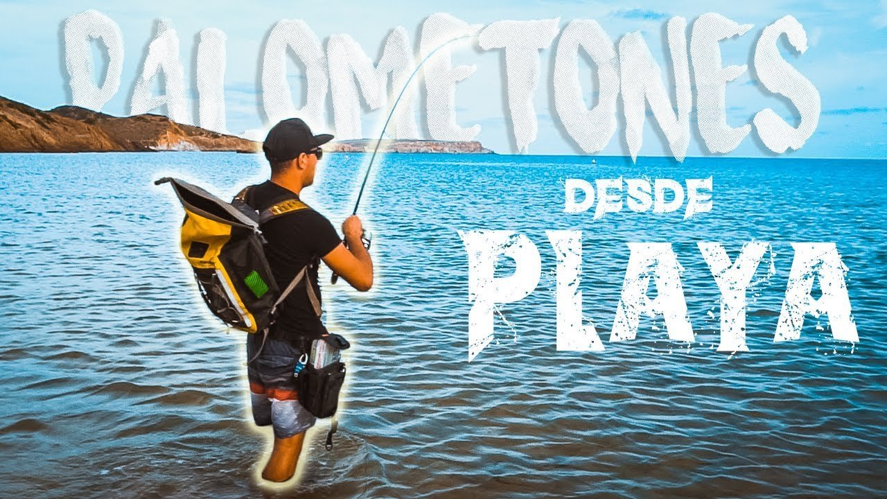 Probando NUEVO SEÑUELO [TRAVIESO] desde PLAYA | Lured Vlog 118