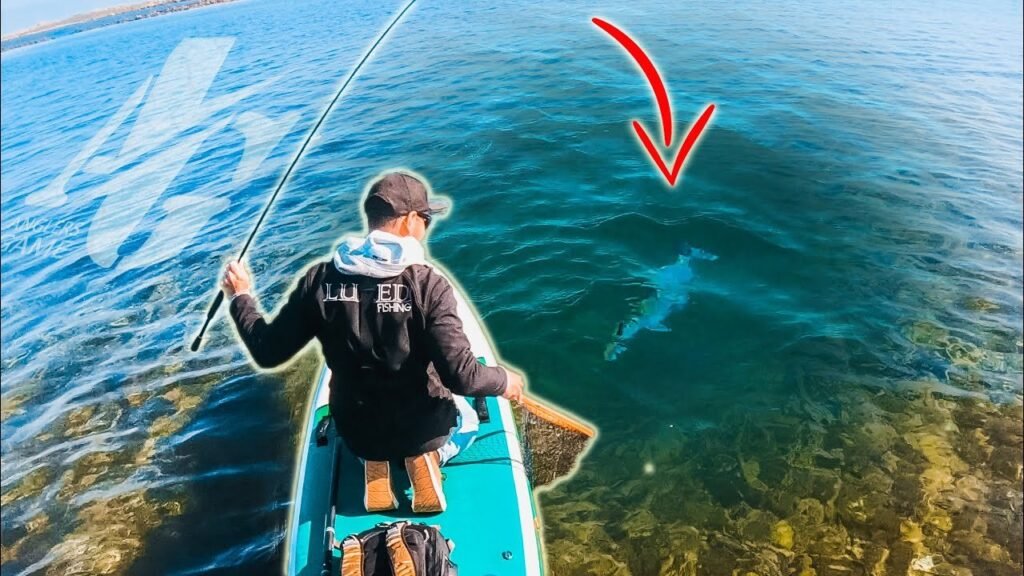 ¿Qué PESCA MÁS? Equipo SPINNING vs ROCKFISHING [Anglers Game] | #P9L1