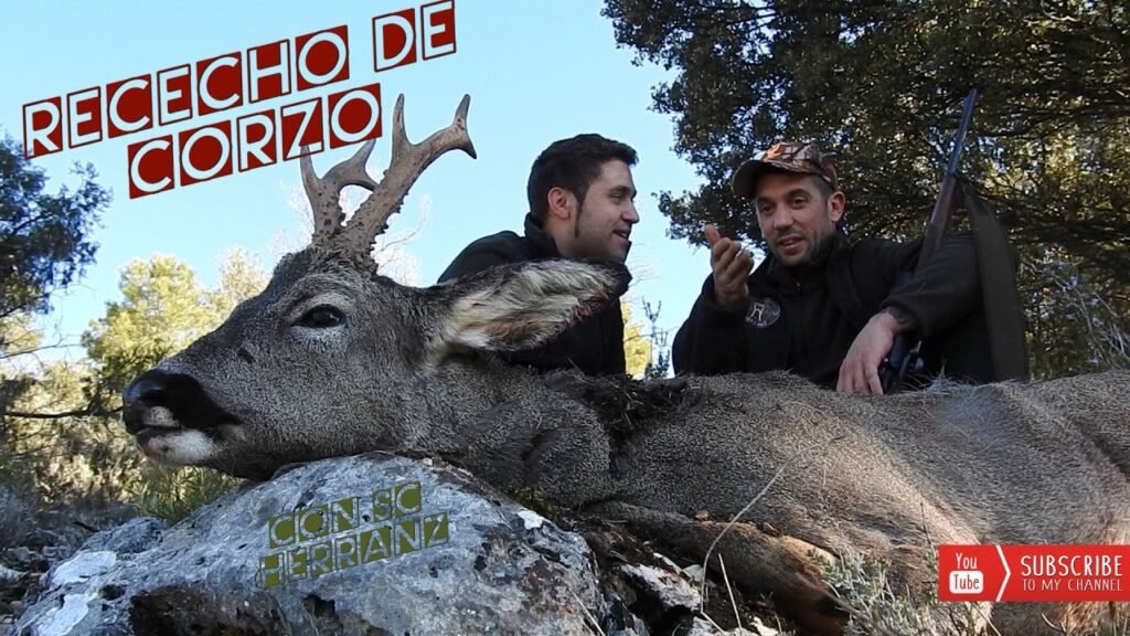 RECECHO DE CORZO CON SERVICIOS CINEGETICOS HERRANZ EN EL RECUENCO / GUADALAJARA