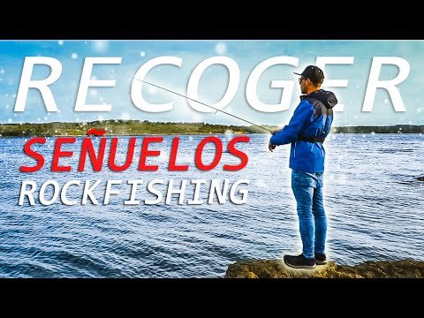 RECOGIDAS BÁSICAS para ROCKFISHING ☑️ [Darting | Top Water | Minnow | Jig | Vinilo]