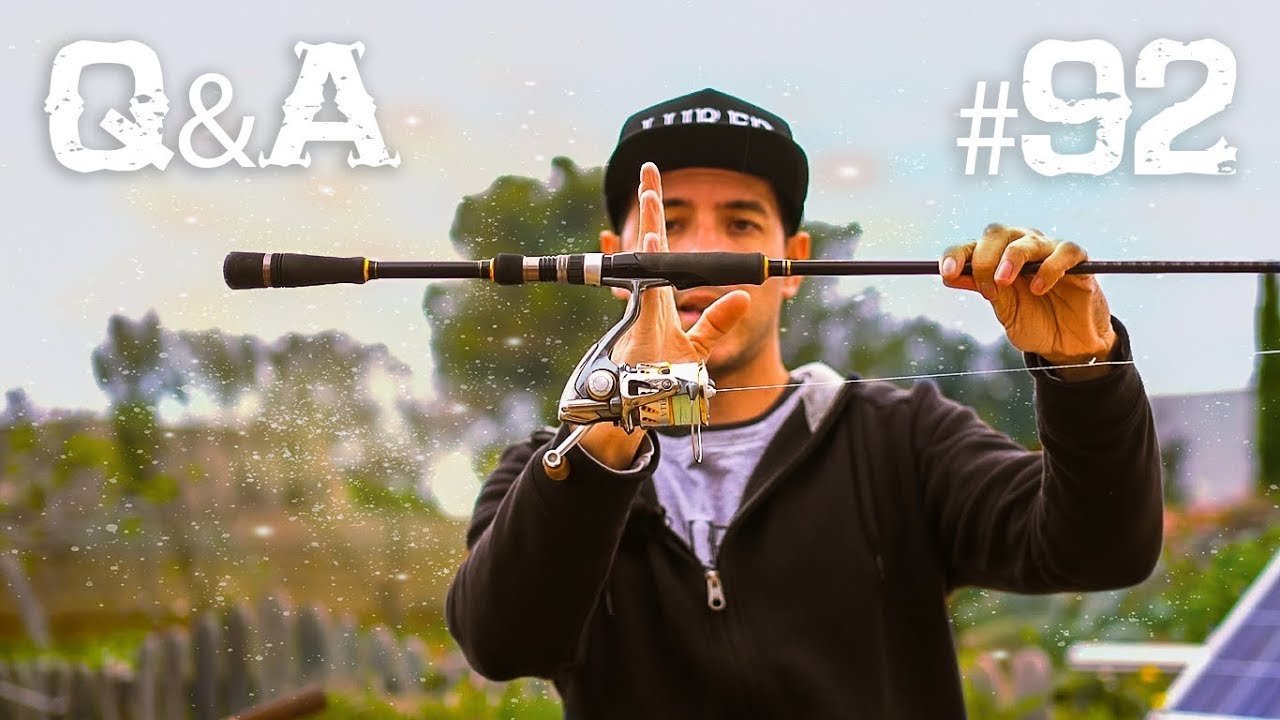 ¿REGISTRO de PECES? ¿GRANDES capturas con CEBO? | Lured Q&A #92
