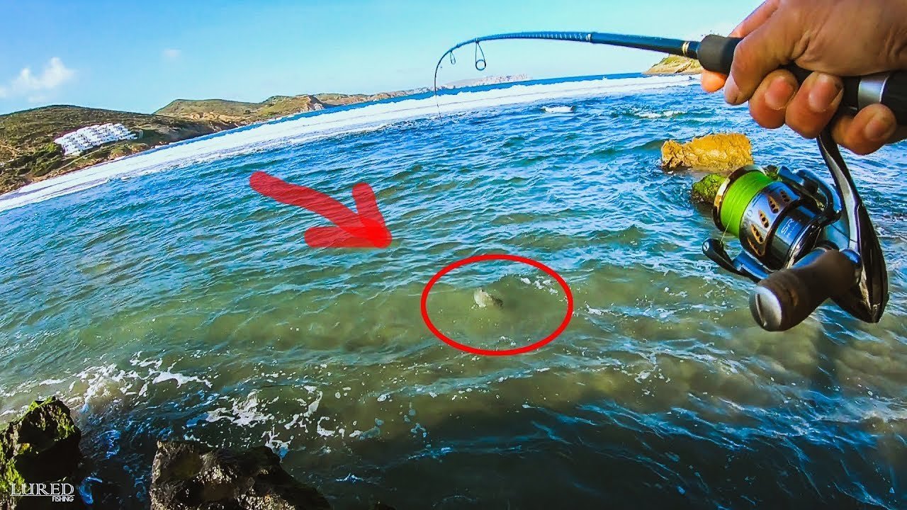 RETO LUBINA con señuelo HÉLICES - Saltwater Prop Challenge | Lured Vlog 77