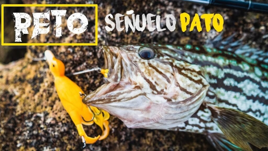 (RETO) No me puedo CREER que este SEÑUELO PESQUE [Pesca en Mauritania] | Capítulo #4