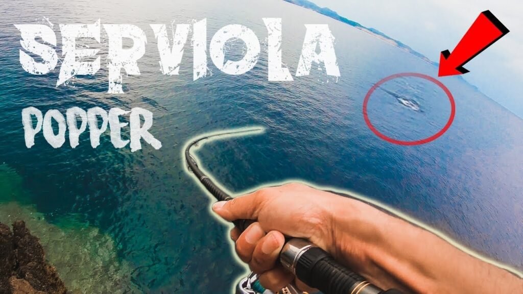 REVANCHA con las SERVIOLAS a POPPER [Spinning PESADO] | Lured Vlog 113