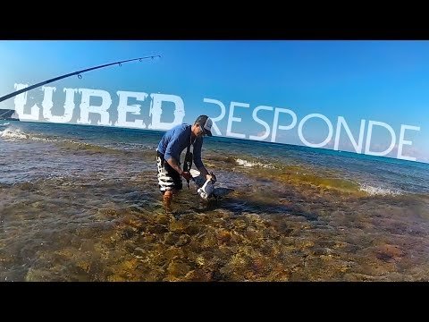 ¿Rigidez de las CAÑAS? ¿Cuánto se GANA en YOUTUBE? | Lured Q&A