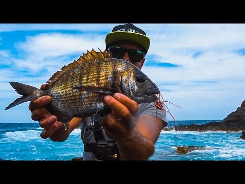 ROCKFISHING 30m de PROFUNDIDAD Sargos Negros | Lured Vlog 94