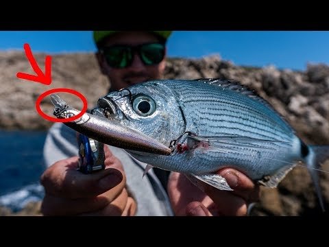 ¿Señuelo con BABERO ROTO? ¿QUÉ técnica para EMPEZAR? | Lured Q&A