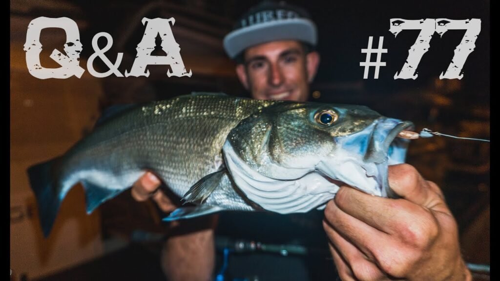 ¿SEÑUELOS y ESPECIES en AGUA TURBIA/NOCHE? ¿Se ROMPEN las CAÑAS MÁS CARAS? | Lured Q&A #77