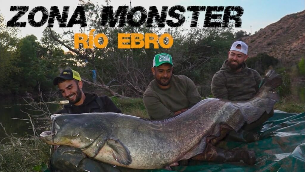 Siluros gigantes del río Ebro | Zona Monster