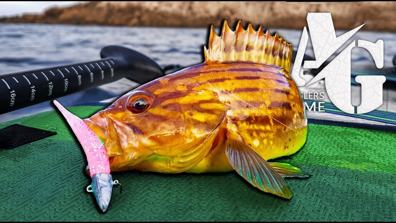 Sorpresas a ROCKFISHING en +30m de PROFUNDIDAD [Anglers Game] | #P6L1