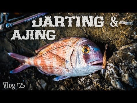 SORPRESAS pescando a DARTING y AJING | Lured Vlog 25