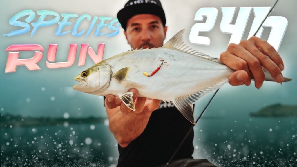 SPECIES RUN  ‍♂️ solo con Señuelo [Spinning y Rockfishing] | Lured Vlog 254