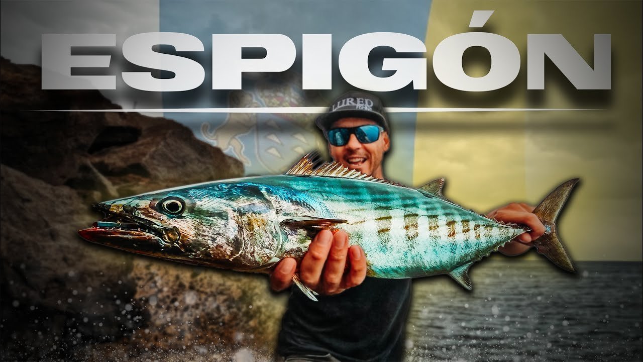 Spinning MEDIO solo en SPOTS ARTIFICIALES | Lured Vlog 308