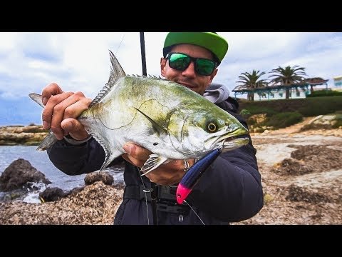 TODO en SUPERFICIE a Light Spinning | Lured Vlog 71