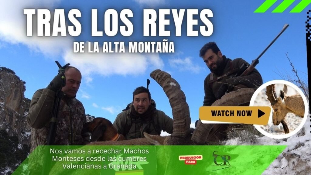 TRAS LOS REYES DE LA ALTA MONTAÑA DE LS SIERRAS VALENCIANAS A GRANADA.
