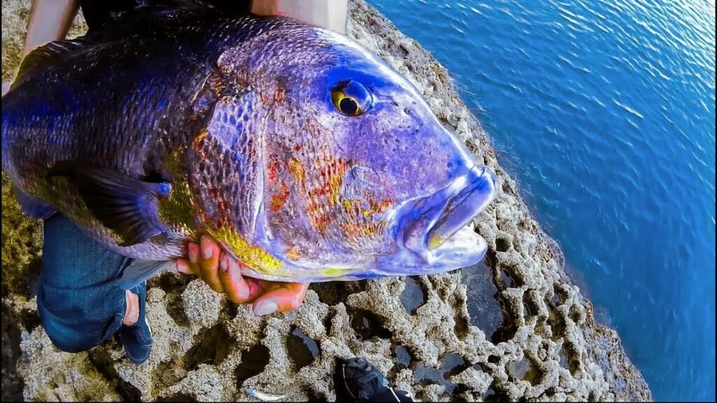 TRUCOS para CAPTURAR peces en VERANO