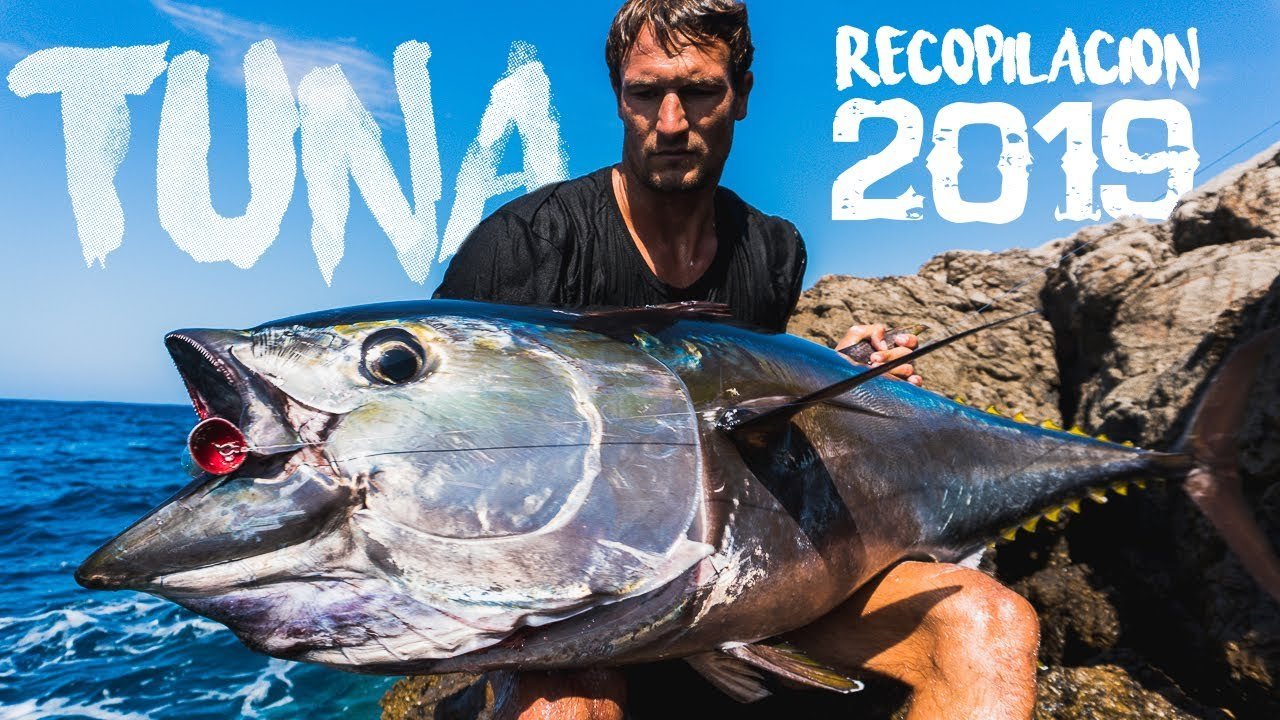 TUNA desde COSTA [Imágenes EXCLUSIVAS 2019]
