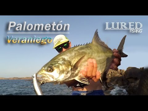 Ultralight game Palometón | Spinning