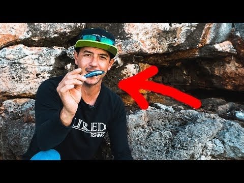 Unboxing LURED TRIP to...