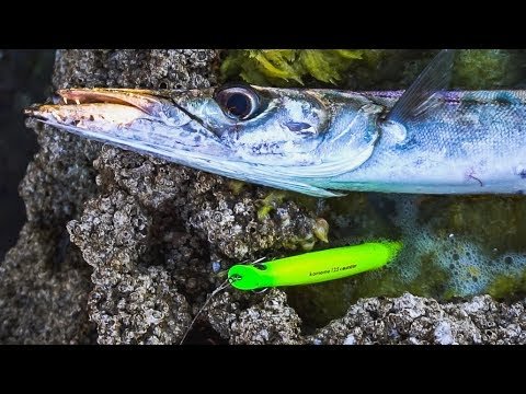 ¿Usar los SEÑUELOS más FAMOSOS? ¿ENGANCHAR menos? | Lured Q&A