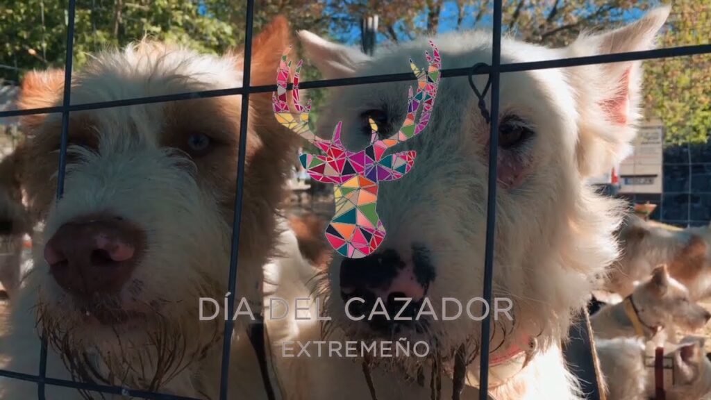 VI DIA DEL CAZADOR EXTREMEÑO DIA 27 DE ABRIL DEL 2019
