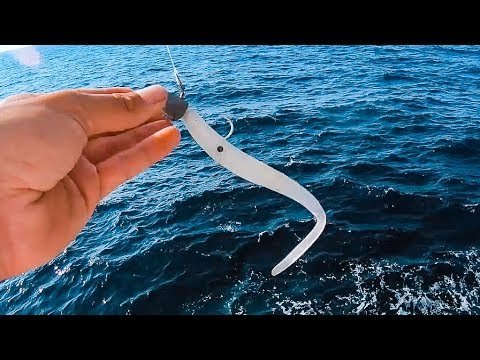 ¿VINILOS cortados? ¿SEÑUELOS para empezar ROCKFISHING? | Lured Q&A