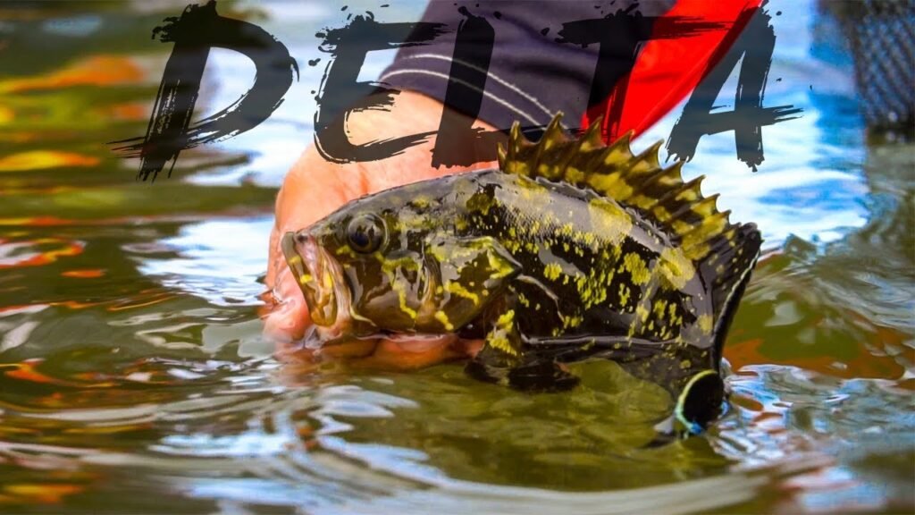 YOUTUBERS FISHING TRIP | EP.3 DELTA DEL EBRO: Peces INUSUALES, INTOXICACIONES y muchas RISAS