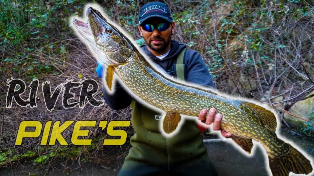 𝐑𝐈𝐕𝐄𝐑 𝐏𝐈𝐊𝐄'𝐒 | PESCA de 𝐋𝐔𝐂𝐈𝐎𝐒 en RÍO
