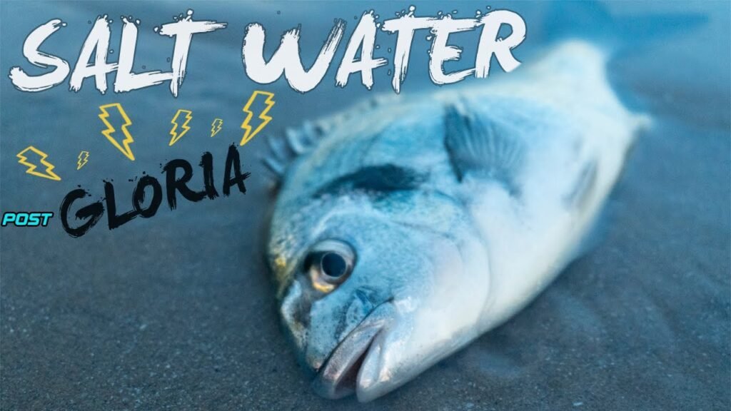 𝙋𝙀𝙎𝘾𝘼 𝘿𝙀 𝙇𝙐𝘽𝙄𝙉𝘼𝙎 & 𝘿𝙊𝙍𝘼𝘿𝘼𝙎 | PECES de PISCIFACTORÍA ESTÉRILES?